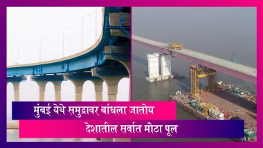 Mumbai Trans Harbour Link Bridge: देशातील सर्वात मोठा पूल 'मुंबई ट्रांस हार्बर लिंक ब्रिज' मुंबईत समुद्रावर बांधला जातोय, मुख्यमंत्री आणि उपमुख्यमंत्रीनी केली पाहणी